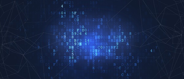 网站建设 网站建设