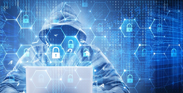 网站建设 网站建设