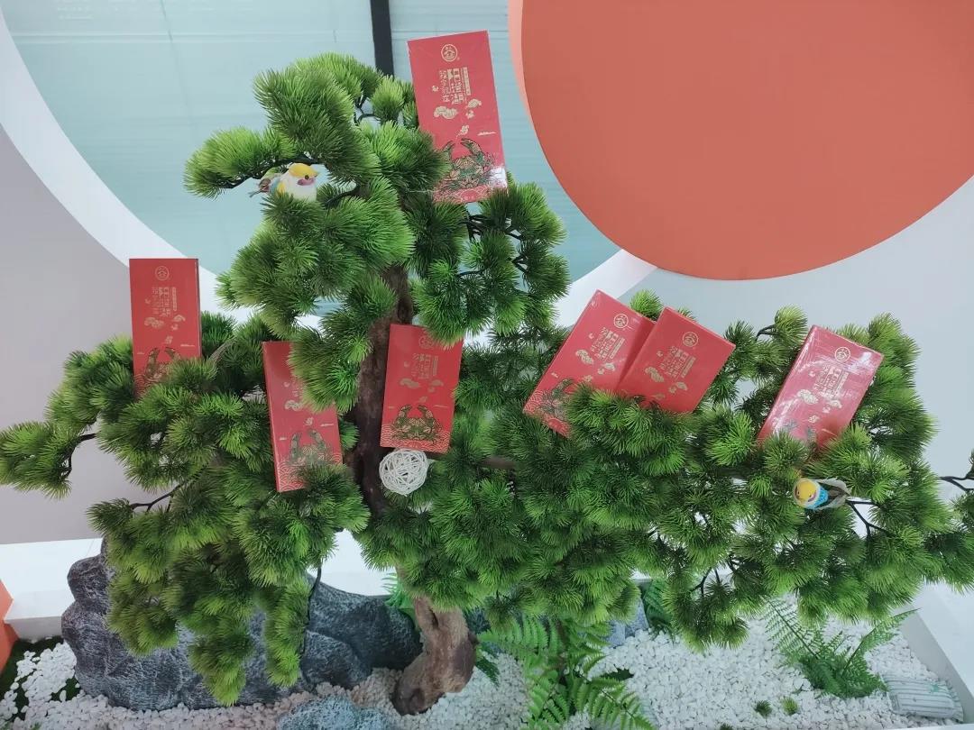 1634005485178793.jpg 2.jpg